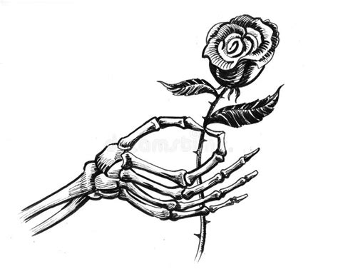 Mano Muerta Con Una Rosa Stock De Ilustraci N Ilustraci N De