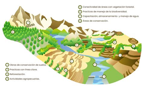 Restauraci N Sistema Nacional De Informaci N Forestal