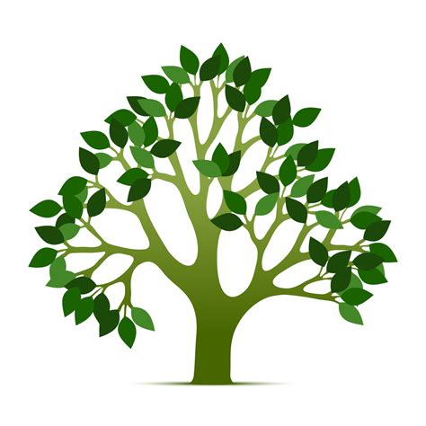 Tree Of Life Clipart 20 Free Cliparts Download Images On Clipground 2025