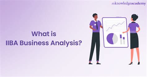 What Is Iiba Business Analysis An Ultimate Guide