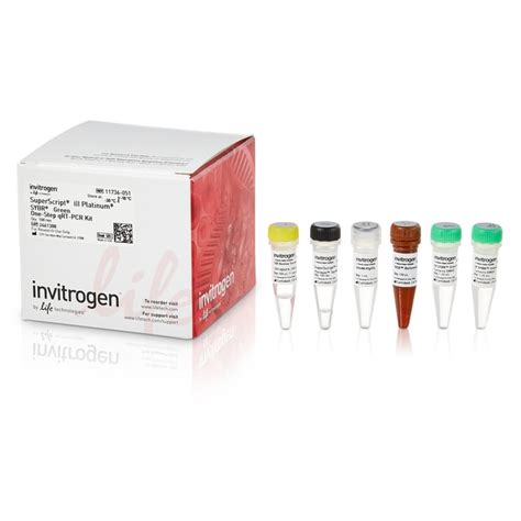 Invitrogen Superscript Iii Platinum Sybr Green One Step Qrt Pcr Kit