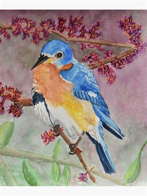 Eastern Bluebird Vertical Watercolor Painting Poster For Sale By