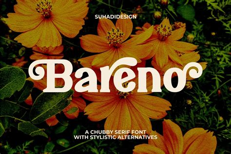 Bareno Modern Retro Serif Font By Suhadidesign Thehungryjpeg