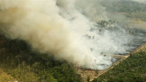 Noticias Estas Son Las Imágenes Reales Del Incendio En El Amazonas