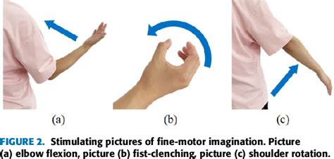 Figure From A Study Of Unilateral Upper Limb Fine Motor Imagery