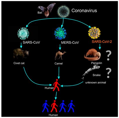 Micromachines Free Full Text Novel Coronavirus Disease Covid