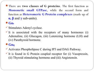 G Proteins | PPT