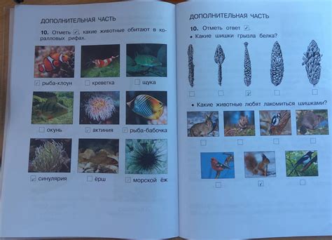 Иллюстрация 14 из 27 для Диагностические комплексные работы. 2 класс ...