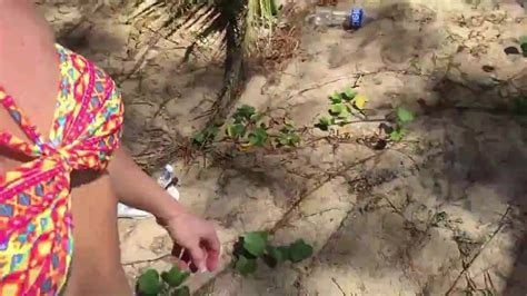 Milf Taking Stranger On The Beach