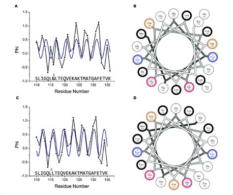 Membrane Bound Helical Periodicity Of The Amphipathic Motif Is