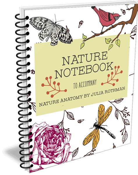 Nature Notebook A Companion To Nature Anatomy By Julia Rothman