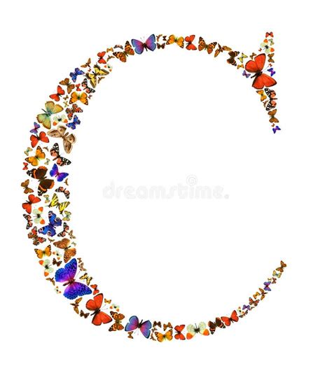 Butterfly Letter Stock Photo Image Of Isolated Collection 23457018