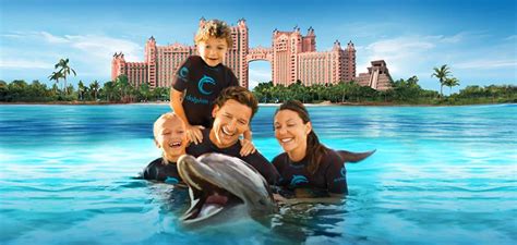 Swimming With Dolphins Bahamas Key Caribe