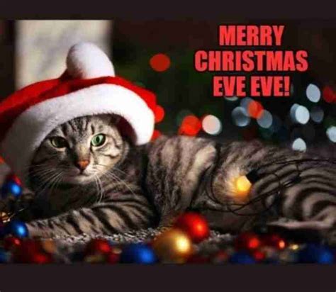 Collection Of Best Merry Christmas Eve Memes 2023