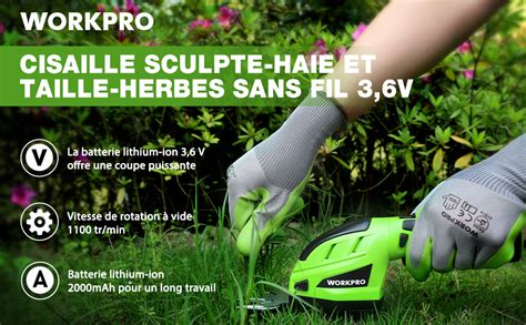 Workpro Cisaille Sculpte Haie Electrique Taille Herbes Sans Fil V