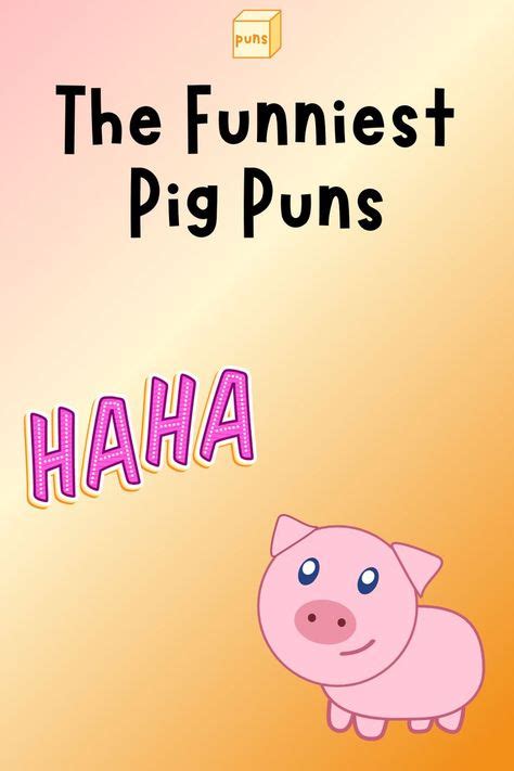 Pig Puns, Kid Friendly Fun, Cool Lunch Boxes, Funny Pigs, Animal Puns ...