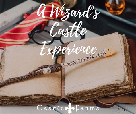 A Wizard's Castle Experience - Castle Farms