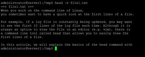 Linux Head Command Explained For Beginners 5 Examples