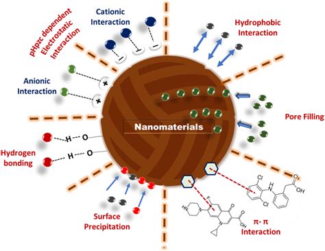 Possible Mechanism Involved In Pharmaceutical Adsorption On