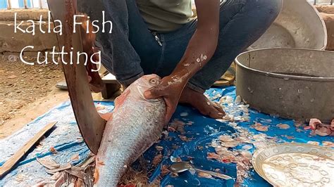 Big Size Katla Catla Fish Cutting By Expert Fish Cutter Fish