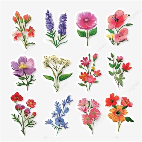 Colorful Spring Floral Sticker Collection Spring Floral Flower PNG