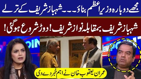 Shahbaz Sharif Vs Nawaz Sharif Imran Yaqub Khan Reveals Inside News From Pmln Samina Pasha