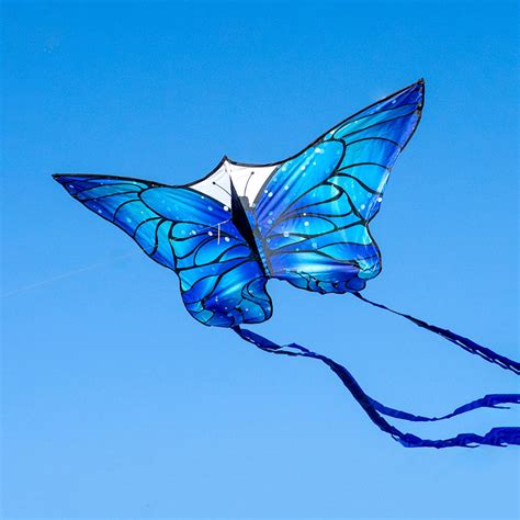 Ice Butterfly Kite Kite Culture