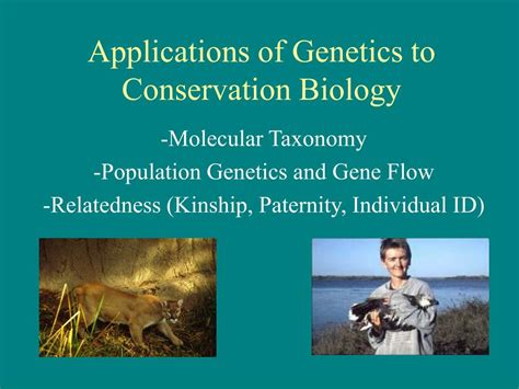 PPT Applications Of Genetics To Conservation Biology PowerPoint