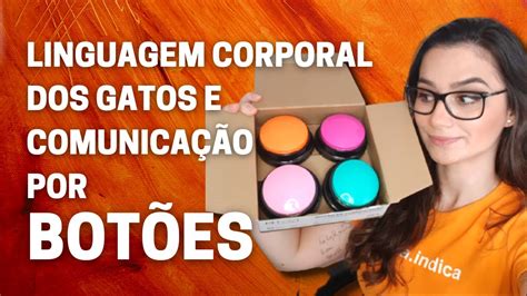 LINGUAGEM CORPORAL DOS GATOS E COMUNICAÃO POR BOTÕES YouTube