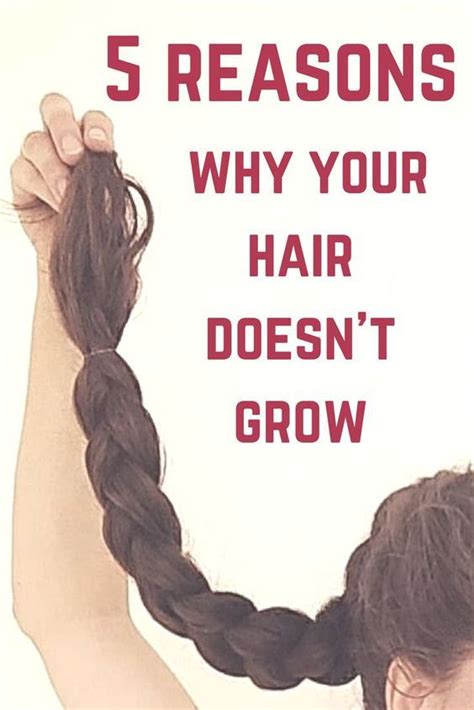 5 Reasons Why Your Hair Doesnt Grow Growing Healthy Hair Help Hair Grow Make Hair Grow