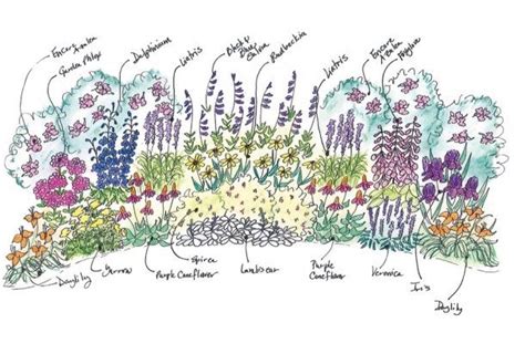 Mixed Border Garden | Cottage garden borders, Flower garden plans ...