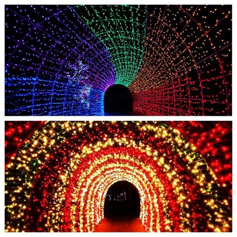 Magical Christmas Lights at Cambria & Oregon Garden