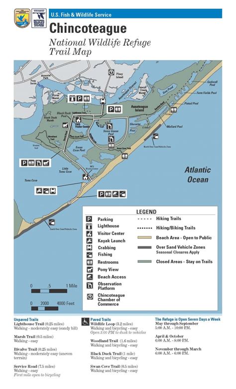 Assateague Campground Map Steptros