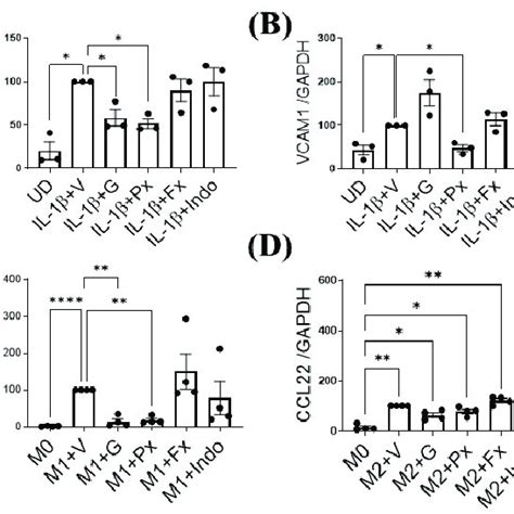 Early Continuous G Grk Inhibition Switches Synovial Macrophage