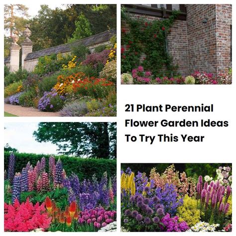 21 Plant Perennial Flower Garden Ideas To Try This Year | SharonSable