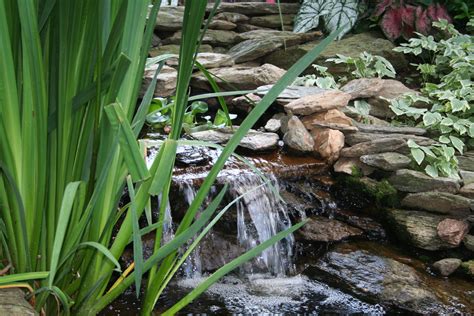 Picture A Babbling Brook In Your Yard I Can Build One For You Happy