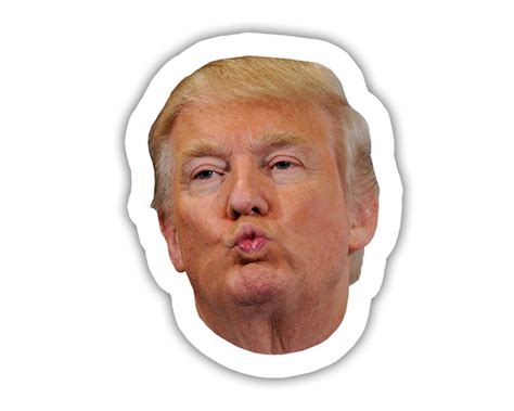 Donald Trump Funny Face Vinyl Decal Sticker from TheFatPigeonShop on ...