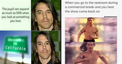 23 Red Hot Chili Peppers Memes Thatll Make You Dong Dong Ding Dang