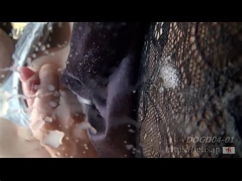 Perro olfateando leche materna mamá ① saliva play edition XVIDEOS