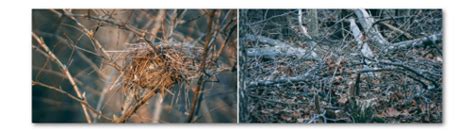 fire  tips   fire everytime rddusa blog