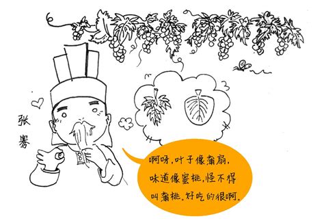 酒业小百科，三分钟读懂中国葡萄酒简史 葡萄酒 新疆 甘肃 新浪新闻