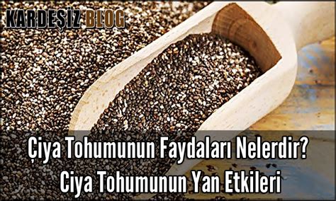 Iya Tohumunun Faydalar Nelerdir Ciya Tohumunun Yan Etkileri