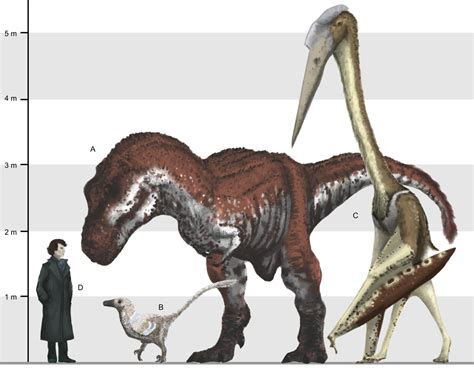 Quetzalcoatlus Size Comparison