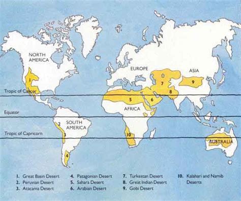 Top 16 Grassland Facts - Animals, Plants, Climate, Biome,