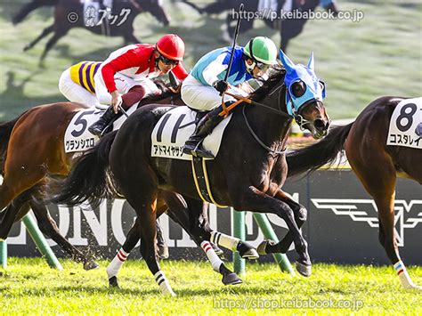 競馬ブックネットshop カラープリント アルミ枠付き 2023年11月25日東京7r 3歳以上1勝クラス アドマイヤサジー