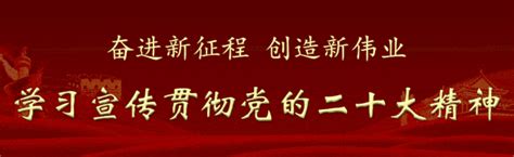 春风化雨育桃李润物无声洒春晖——记临洮县文峰中学陈鑫老师 工作 教学 教育