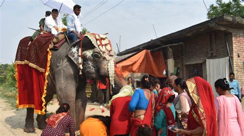 बुद्धको अस्तुधातुलाई रामग्राम नगर परिक्रममा लुम्बिनी कान्तिपुर समाचार