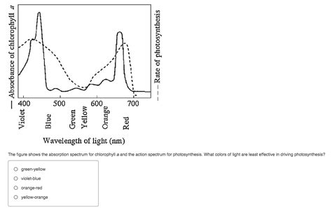 Action Spectrum Of Photosynthesis