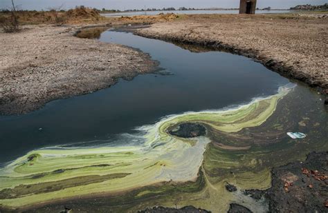 Toxic Waste In Water