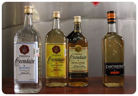 Tequila Art And Mariachis Experiencing The Real Mexico In Guadalajara